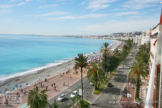 ������������ �� ������� (�����): ������������ �� �������� ������, ������������ � ����� - REF. 1245 [�������� ''WEX PROPERTY'']