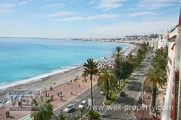 ������������ �� ������� (�����): ������������ �� �������� ������, ������������ � ����� - REF. 1245 [�������� ''WEX PROPERTY'']