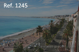 ������������ �� ������� (�����): ������������ �� �������� ������, ������������ � ����� - REF. 1245 [�������� ''WEX PROPERTY'']