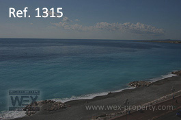 ������������ �� ������� (�����): ������������ �� �������� ������, ������������ � ����� - REF. 1315 [�������� ''WEX PROPERTY'']