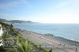 ������������ �� ������� (�����): ������������ �� �������� ������, ������������ � ����� - REF. 1429 [�������� ''WEX PROPERTY'']