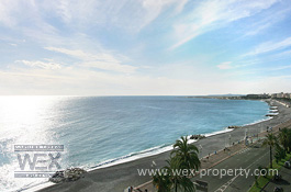 ������������ �� ������� (�����): ������������ �� �������� ������, ������������ � ����� - REF. 1543 [�������� ''WEX PROPERTY'']