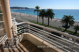 ������������ �� ������� (�����): ������������ �� �������� ������, ������������ � ����� - REF. 1647 [�������� ''WEX PROPERTY'']