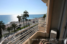 ������������ �� ������� (�����): ������������ �� �������� ������, ������������ � ����� - REF. 1647 [�������� ''WEX PROPERTY'']