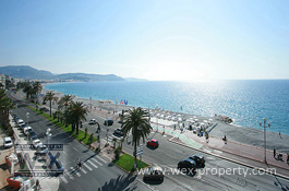 ������������ �� ������� (�����): ������������ �� �������� ������, ������������ � ����� - REF. 1761 [�������� ''WEX PROPERTY'']