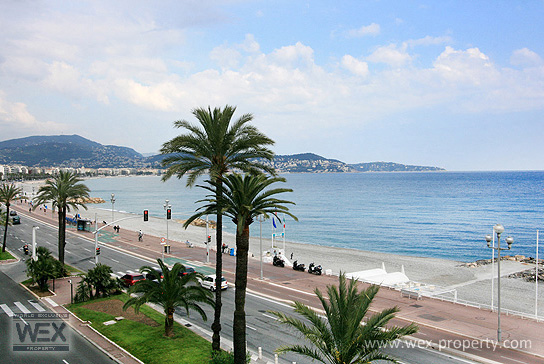 ������������ �� ������� (�����): ������������ �� �������� ������, ������������ � ����� - REF. 2305 [�������� ''WEX PROPERTY'']