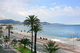 ������������ �� ������� (�����): ������������ �� �������� ������, ������������ � ����� - REF. 2305 [�������� ''WEX PROPERTY'']