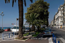 ������������ �� ������� (�����): ������������ �� �������� ������, ������������ � ����� - Unique villa in Nice [�������� ''WEX PROPERTY'']