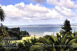 ������������ � ����� �������� (�����) - Beach Heaven [�������� ''WEX PROPERTY'']