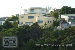 ������������ � ����� �������� (�����) - Auckland [�������� ''WEX PROPERTY'']