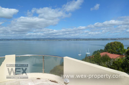 ������������ � ����� �������� (�����) - Auckland [�������� ''WEX PROPERTY'']