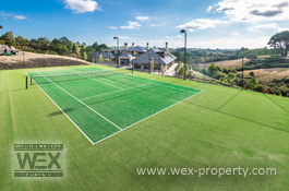 ������������ � ����� �������� (�����) - THE CROWN JEWEL OF COATESVILLE [�������� ''WEX PROPERTY'']