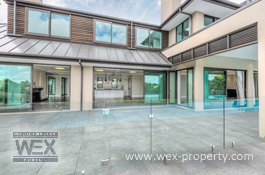 ������������ � ����� �������� (�����) - THE CROWN JEWEL OF COATESVILLE [�������� ''WEX PROPERTY'']