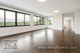 ������������ � ����� �������� (�����) - THE CROWN JEWEL OF COATESVILLE [�������� ''WEX PROPERTY'']