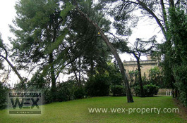 ������������ � ������� (�����): ������������ � ���������, ������������ �� ����� �����, ������������ � ��������� - Casa BCN-Parc Guell [�������� ''WEX PROPERTY'']