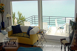 ������������ � ������� (�����): ������������ � ���������, ������������ �� ����� ����� - REF. 1208 [�������� ''WEX PROPERTY'']