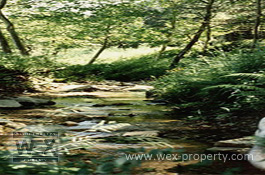 ������������ � ������� (�����): ������������ � ���������, ������������ �� ����� ����� - Masia Genov&eacute;s [�������� ''WEX PROPERTY'']