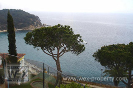 ������������ � ������� (�����): ������������ � ���������, ������������ �� ����� ����� - REF. 2801 [�������� ''WEX PROPERTY'']