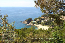 ������������ � ������� (�����): ������������ � ���������, ������������ �� ����� ����� - REF. 3066 [�������� ''WEX PROPERTY'']